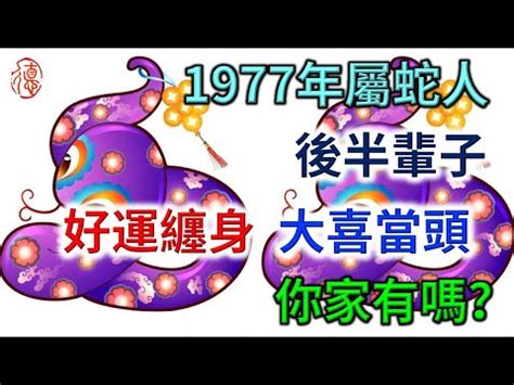 77年是什麼年